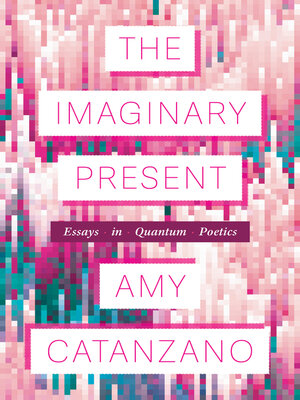 cover image of Imaginary Present